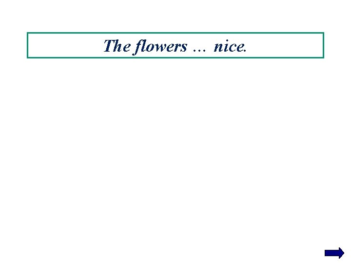 The flowers … nice. 