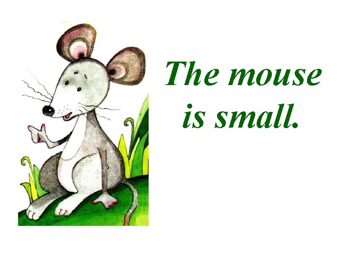 The mouse is small. 