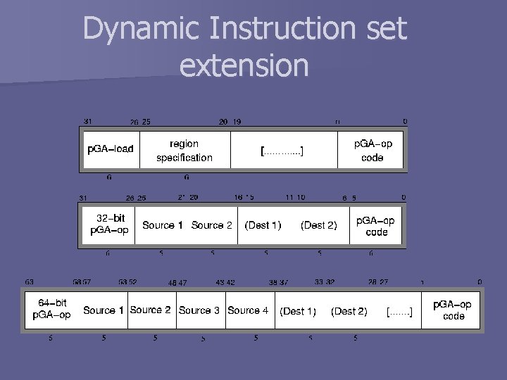 Dynamic Instruction set extension 