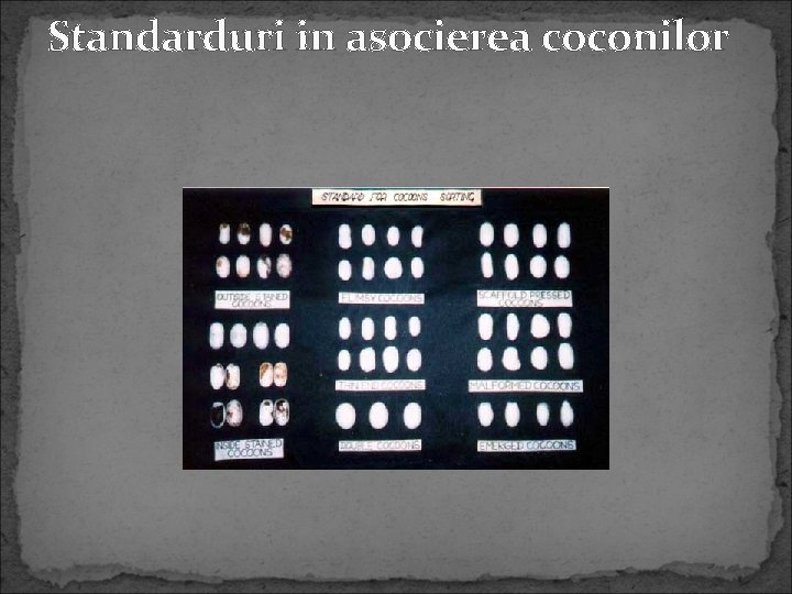 Standarduri in asocierea coconilor 