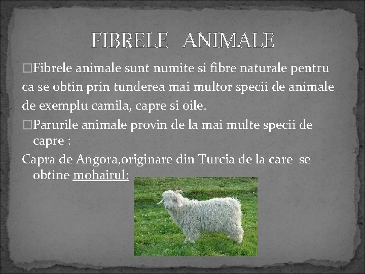 FIBRELE ANIMALE �Fibrele animale sunt numite si fibre naturale pentru ca se obtin prin