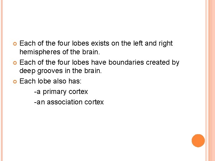 Each of the four lobes exists on the left and right hemispheres of the