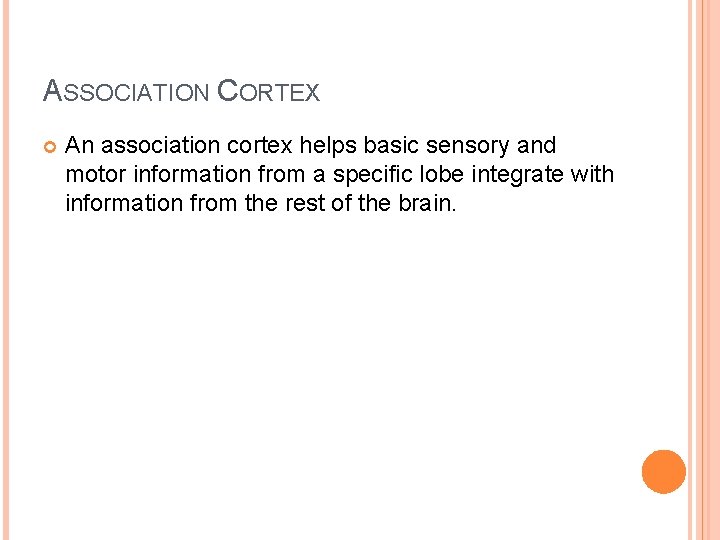ASSOCIATION CORTEX An association cortex helps basic sensory and motor information from a specific