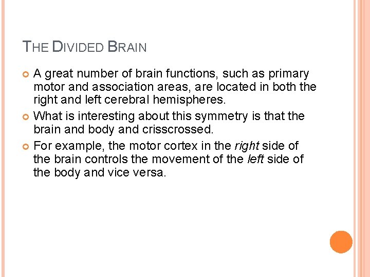 THE DIVIDED BRAIN A great number of brain functions, such as primary motor and