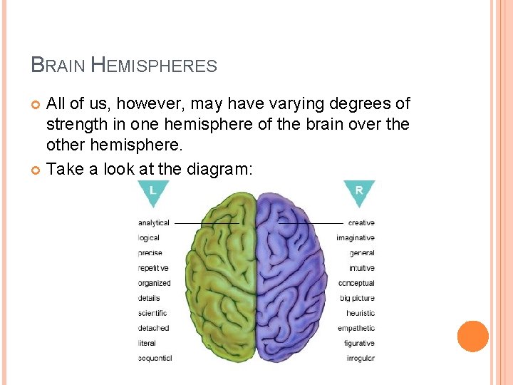 BRAIN HEMISPHERES All of us, however, may have varying degrees of strength in one