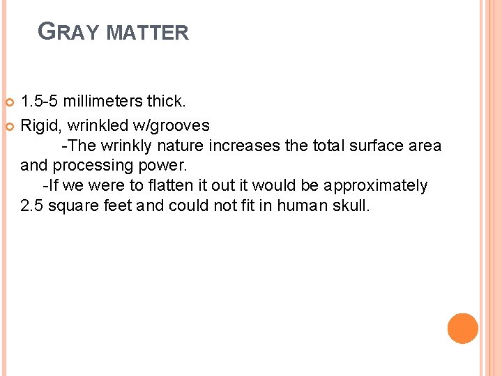 GRAY MATTER 1. 5 -5 millimeters thick. Rigid, wrinkled w/grooves -The wrinkly nature increases