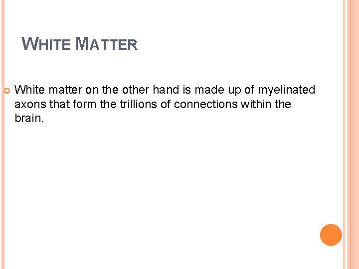 WHITE MATTER White matter on the other hand is made up of myelinated axons