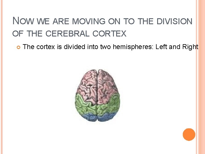 NOW WE ARE MOVING ON TO THE DIVISION OF THE CEREBRAL CORTEX The cortex