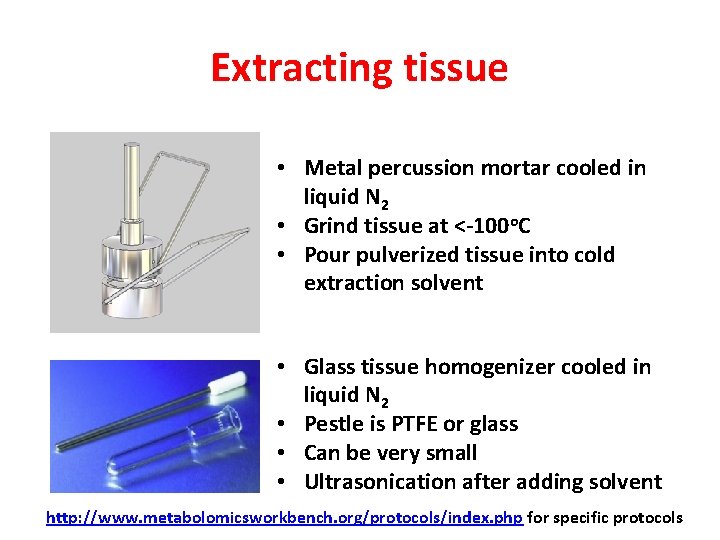 Extracting tissue • Metal percussion mortar cooled in liquid N 2 • Grind tissue