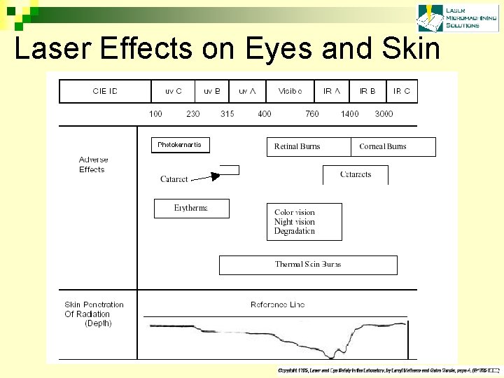 Laser Effects on Eyes and Skin 