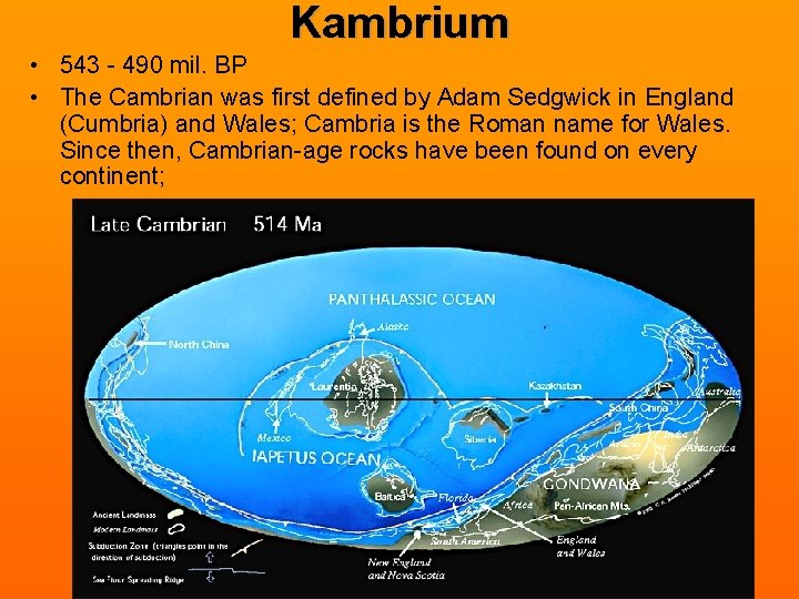 Kambrium • 543 - 490 mil. BP • The Cambrian was first defined by