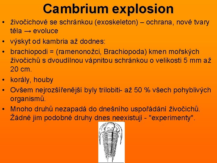 Cambrium explosion • živočichové se schránkou (exoskeleton) – ochrana, nové tvary těla → evoluce