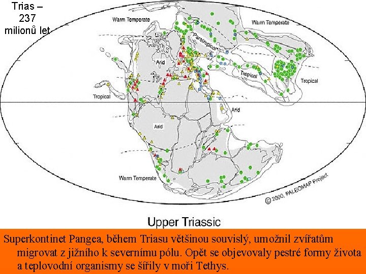 Trias – 237 milionů let Trias Superkontinet Pangea, během Triasu většinou souvislý, umožnil zvířatům