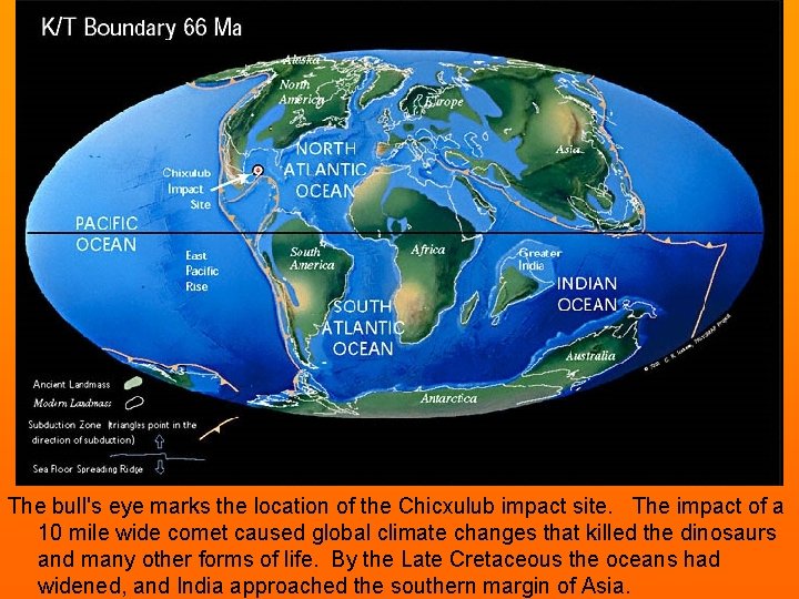 The bull's eye marks the location of the Chicxulub impact site. The impact of