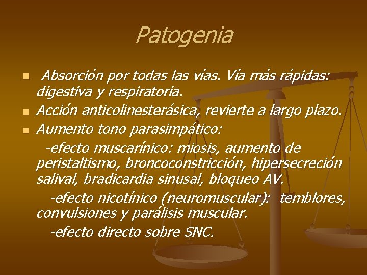 Patogenia n n n Absorción por todas las vías. Vía más rápidas: digestiva y