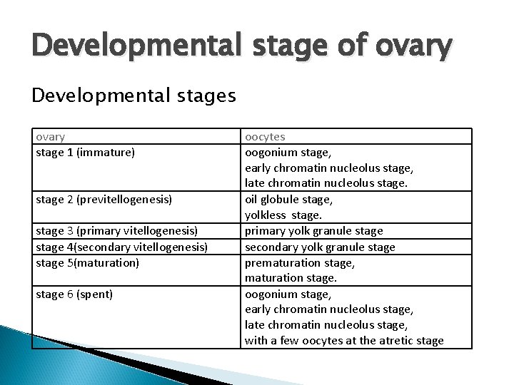 Developmental stage of ovary Developmental stages ovary stage 1 (immature) stage 2 (previtellogenesis) stage