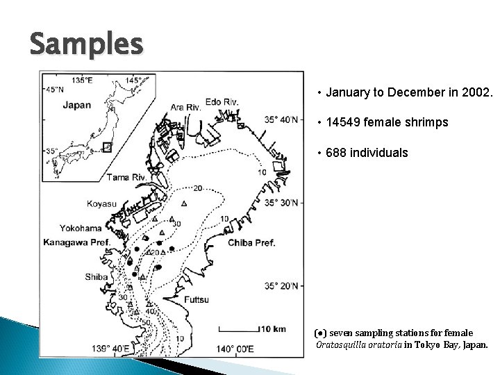 Samples • January to December in 2002. • 14549 female shrimps • 688 individuals