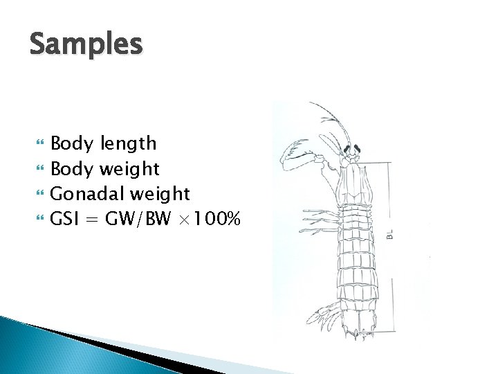 Samples Body length Body weight Gonadal weight GSI = GW/BW × 100% 
