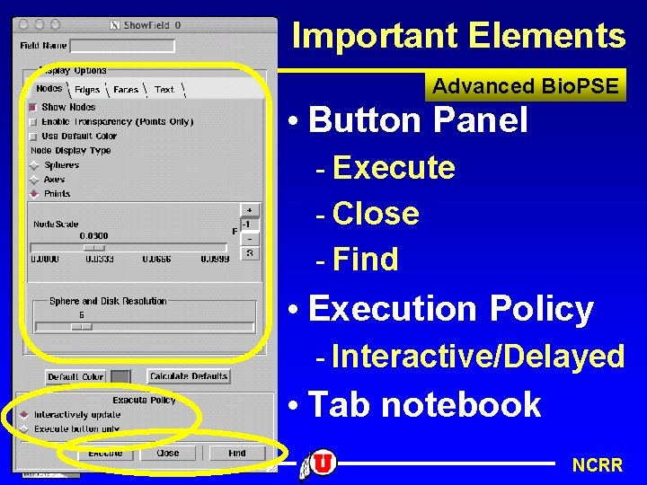 Important Elements Advanced Bio. PSE • Button Panel - Execute - Close - Find