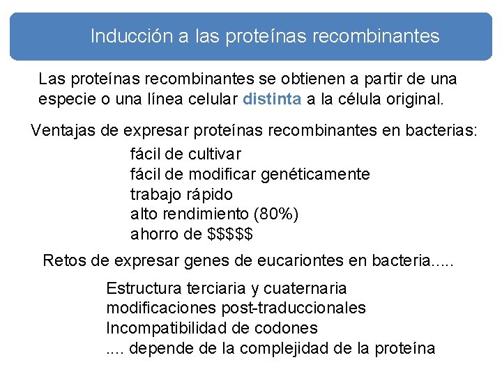 Inducción a las proteínas recombinantes Las proteínas recombinantes se obtienen a partir de una