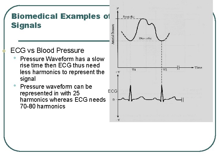 Biomedical Examples of Signals l ECG vs Blood Pressure • • Pressure Waveform has