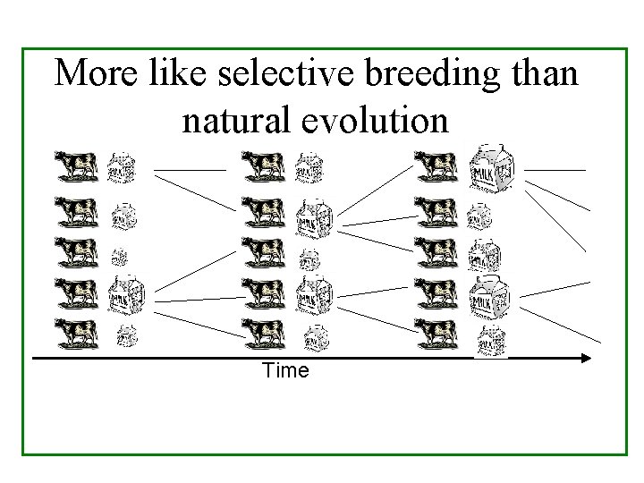More like selective breeding than natural evolution Time 
