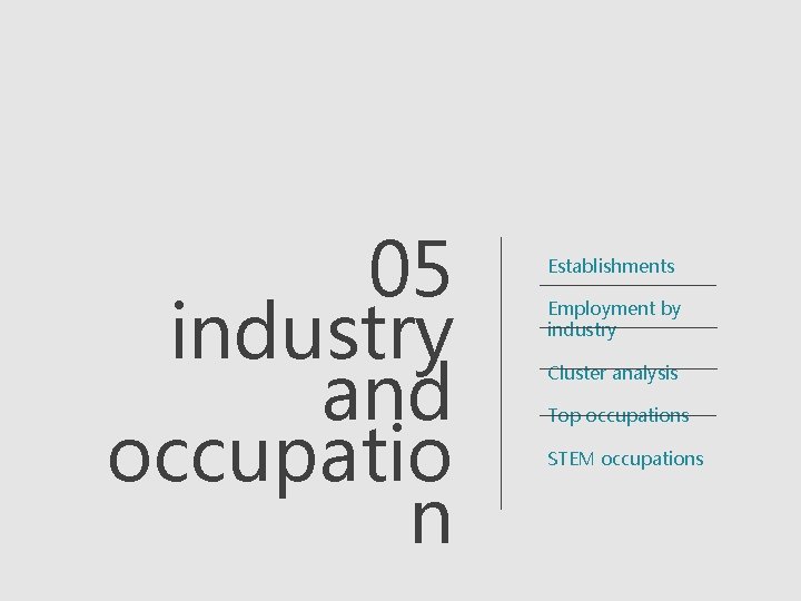 05 industry and occupatio n Establishments Employment by industry Cluster analysis Top occupations STEM