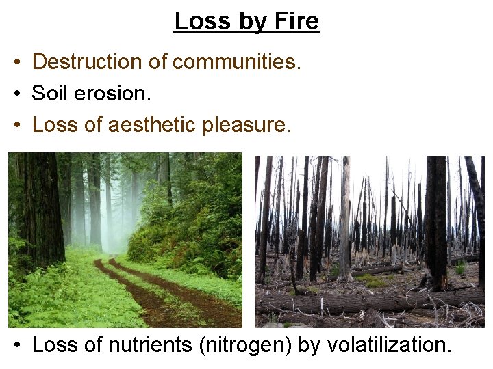 Loss by Fire • Destruction of communities. • Soil erosion. • Loss of aesthetic