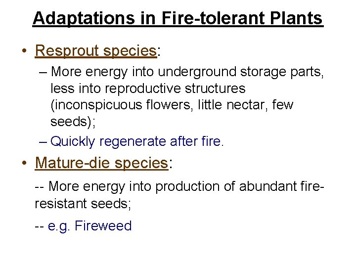 Adaptations in Fire-tolerant Plants • Resprout species: – More energy into underground storage parts,