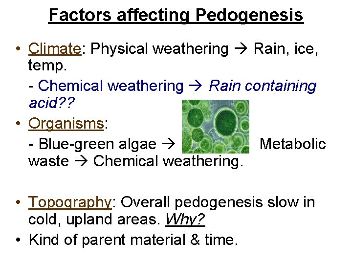 Factors affecting Pedogenesis • Climate: Physical weathering Rain, ice, temp. - Chemical weathering Rain