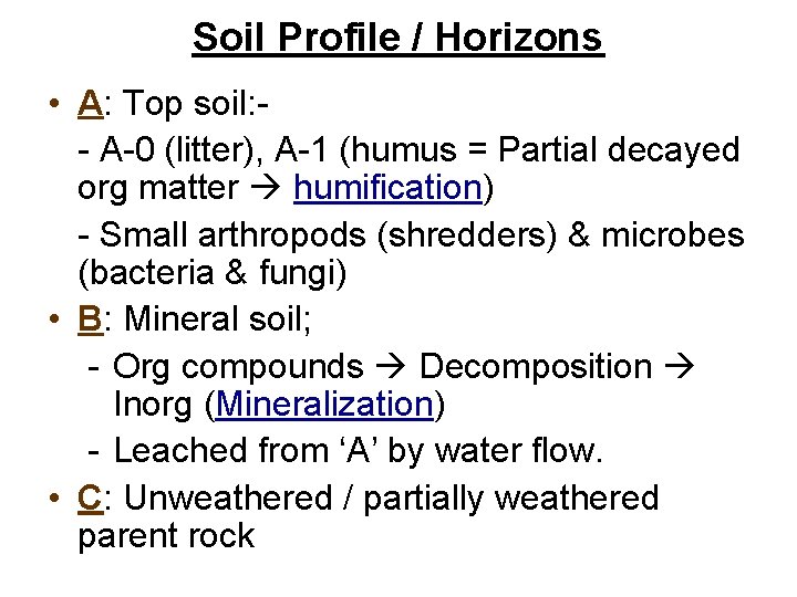 Soil Profile / Horizons • A: Top soil: - A-0 (litter), A-1 (humus =