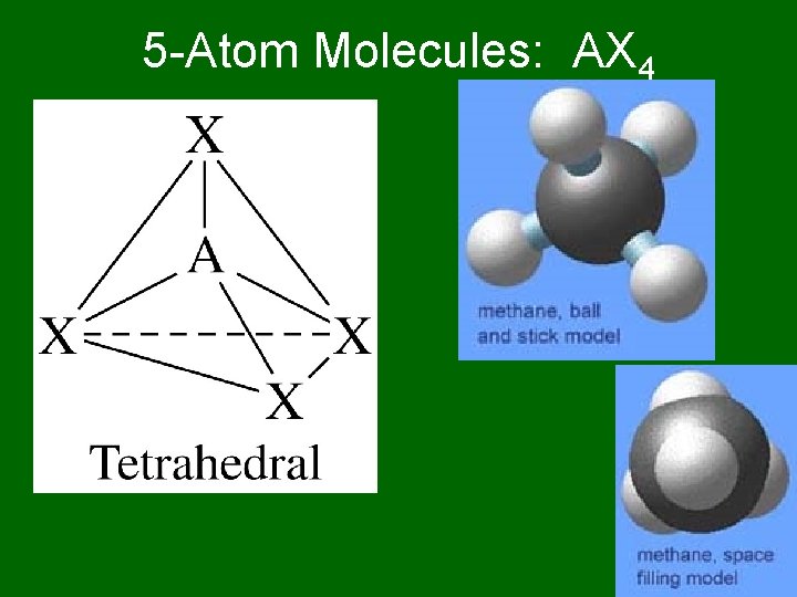 5 -Atom Molecules: AX 4 