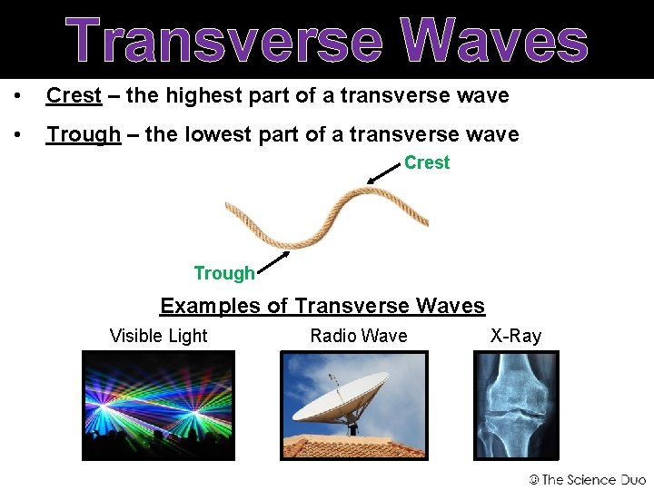 Transverse Waves • Crest – the highest part of a transverse wave • Trough