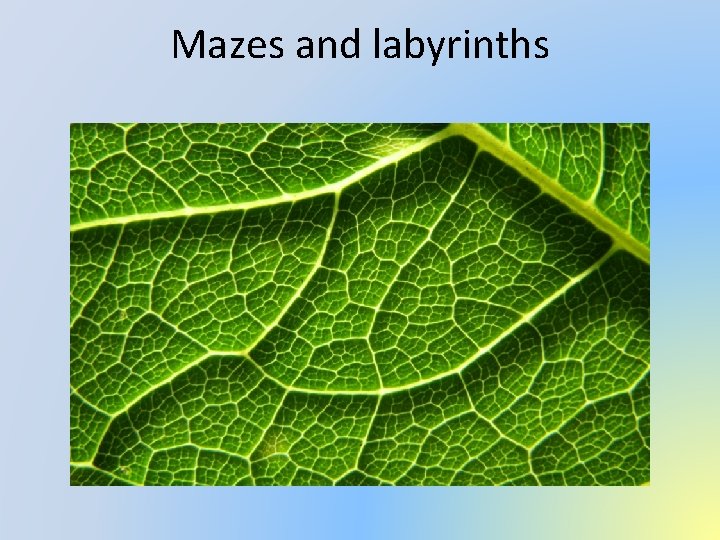 Mazes and labyrinths 