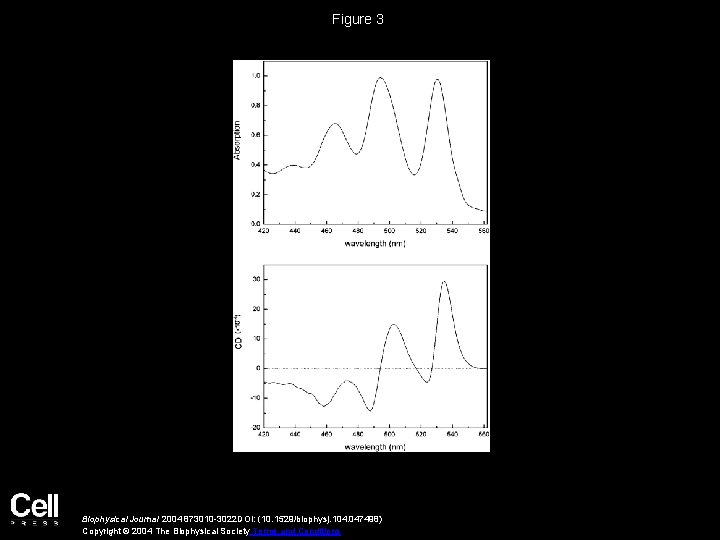Figure 3 Biophysical Journal 2004 873010 -3022 DOI: (10. 1529/biophysj. 104. 047498) Copyright ©