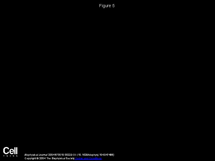 Figure 5 Biophysical Journal 2004 873010 -3022 DOI: (10. 1529/biophysj. 104. 047498) Copyright ©