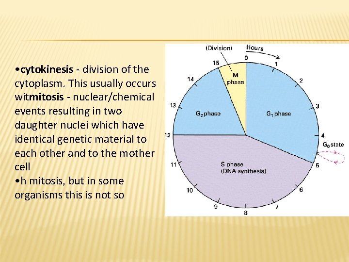  • cytokinesis - division of the cytoplasm. This usually occurs witmitosis - nuclear/chemical