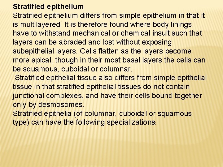 Stratified epithelium differs from simple epithelium in that it is multilayered. It is therefore