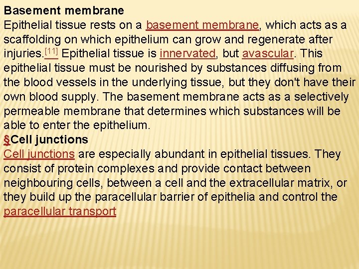 Basement membrane Epithelial tissue rests on a basement membrane, which acts as a scaffolding