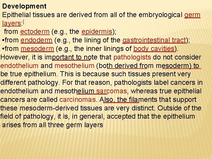 Development Epithelial tissues are derived from all of the embryological germ layers: [ from