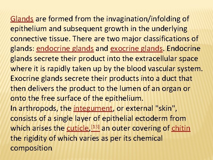 Glands are formed from the invagination/infolding of epithelium and subsequent growth in the underlying