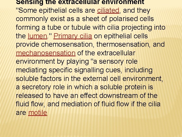 Sensing the extracellular environment "Some epithelial cells are ciliated, and they commonly exist as