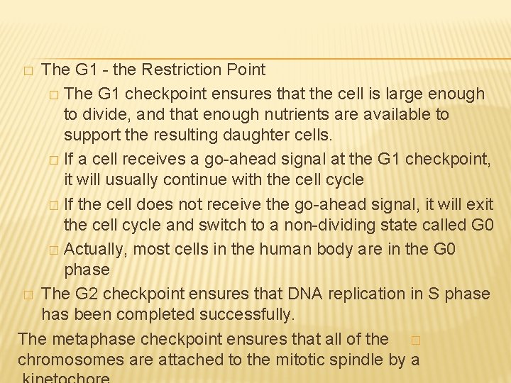 The G 1 - the Restriction Point � The G 1 checkpoint ensures that