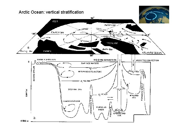 Arctic Ocean: vertical stratification 
