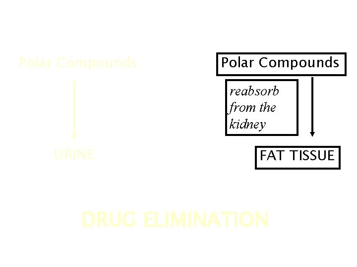 Polar Compounds excreted URINE Polar Compounds reabsorb from the kidney FAT TISSUE DRUG ELIMINATION