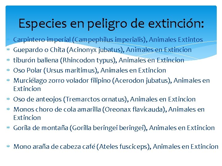 Especies en peligro de extinción: Carpintero imperial (Campephilus imperialis), Animales Extintos Guepardo o Chita