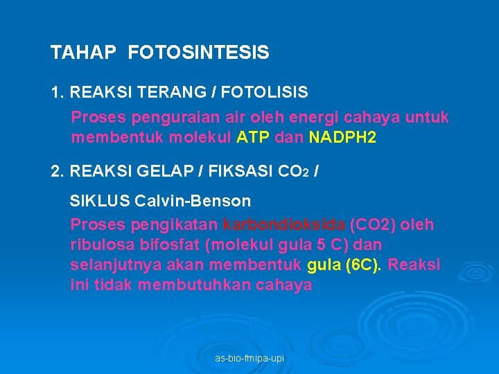 TAHAP FOTOSINTESIS 1. REAKSI TERANG / FOTOLISIS Proses penguraian air oleh energi cahaya untuk