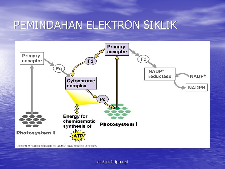 PEMINDAHAN ELEKTRON SIKLIK as-bio-fmipa-upi 