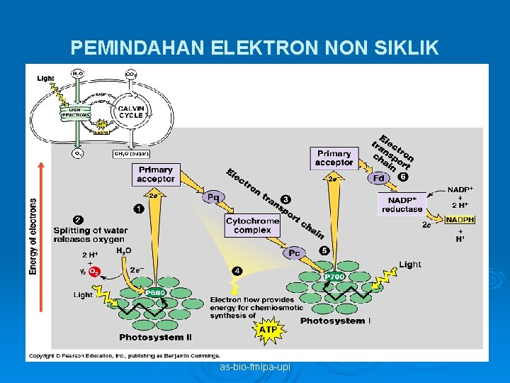 PEMINDAHAN ELEKTRON NON SIKLIK as-bio-fmipa-upi 