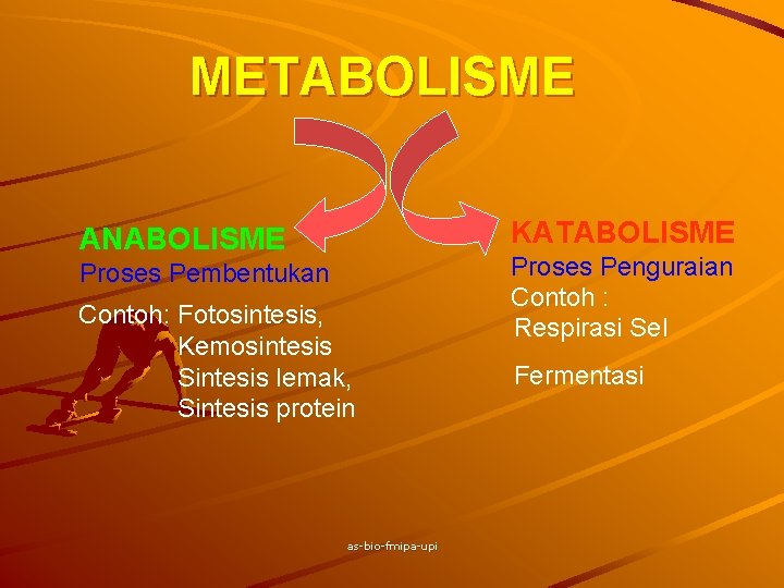 METABOLISME KATABOLISME ANABOLISME Proses Pembentukan Contoh: Fotosintesis, Kemosintesis Sintesis lemak, Sintesis protein as-bio-fmipa-upi Proses